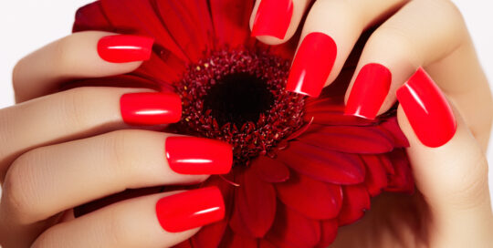 Beauty hands with red fashion manicure and bright flower. Beautiful manicured red polish on nails. Fashionable cosmetics and makeup