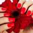 Beauty hands with red fashion manicure and bright flower. Beautiful manicured red polish on nails. Fashionable cosmetics and makeup