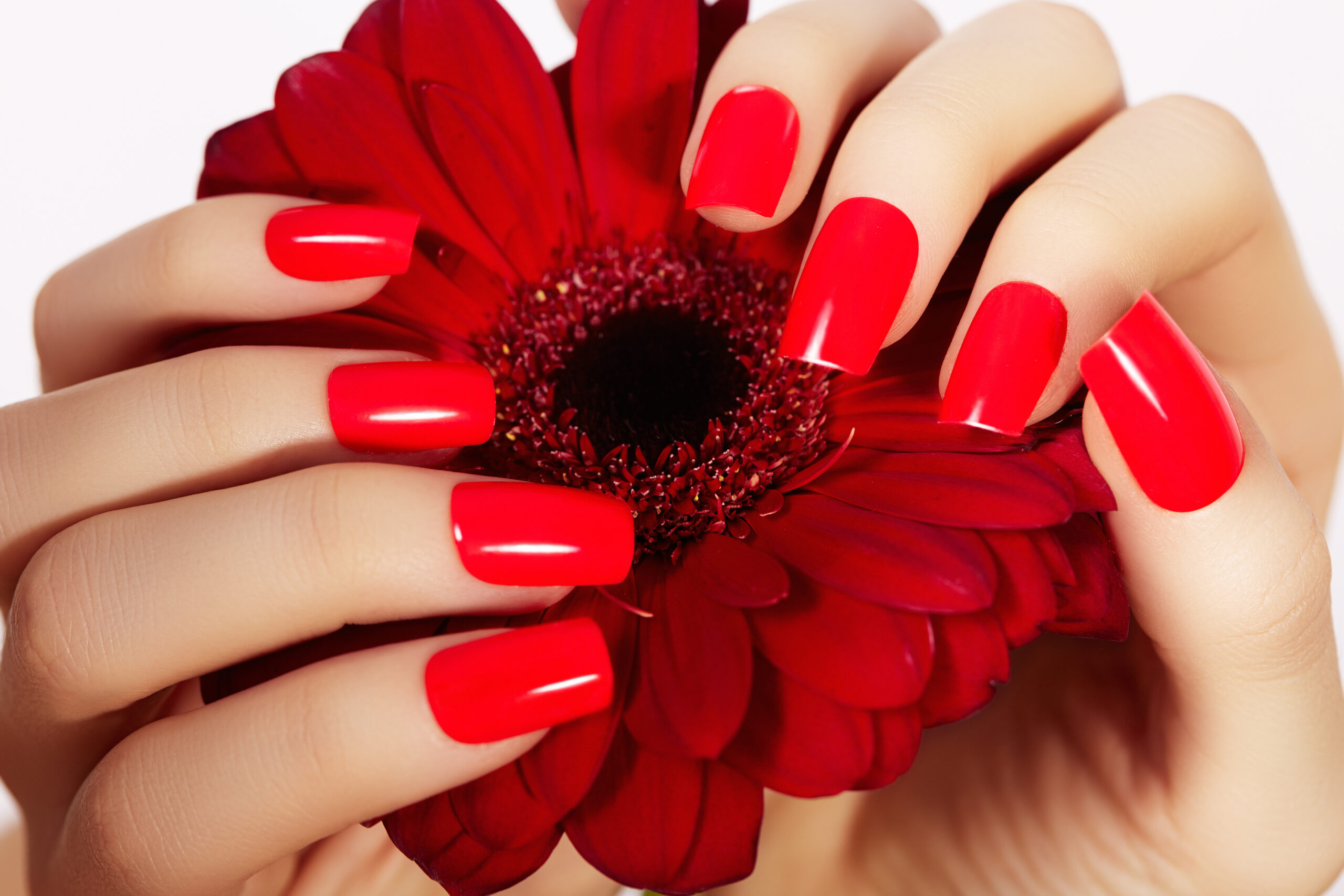 Beauty hands with red fashion manicure and bright flower. Beautiful manicured red polish on nails. Fashionable cosmetics and makeup